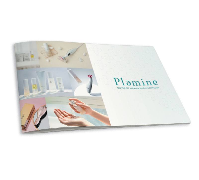 Broschüre Plamine DE/RU