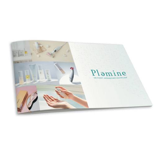 Broschüre Plamine DE/RU